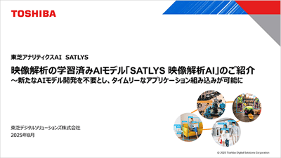 page-tdsl-satlys-02