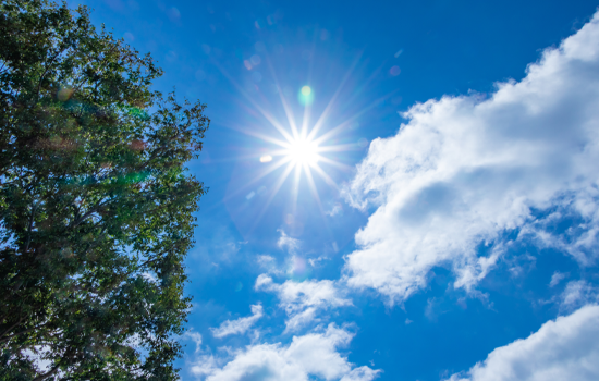 灼熱の太陽と夏の青空