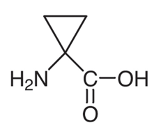 1-aminocyclopropane-1-carboxylic acid