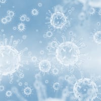 Bio-HardoLass Bio-HardoLass